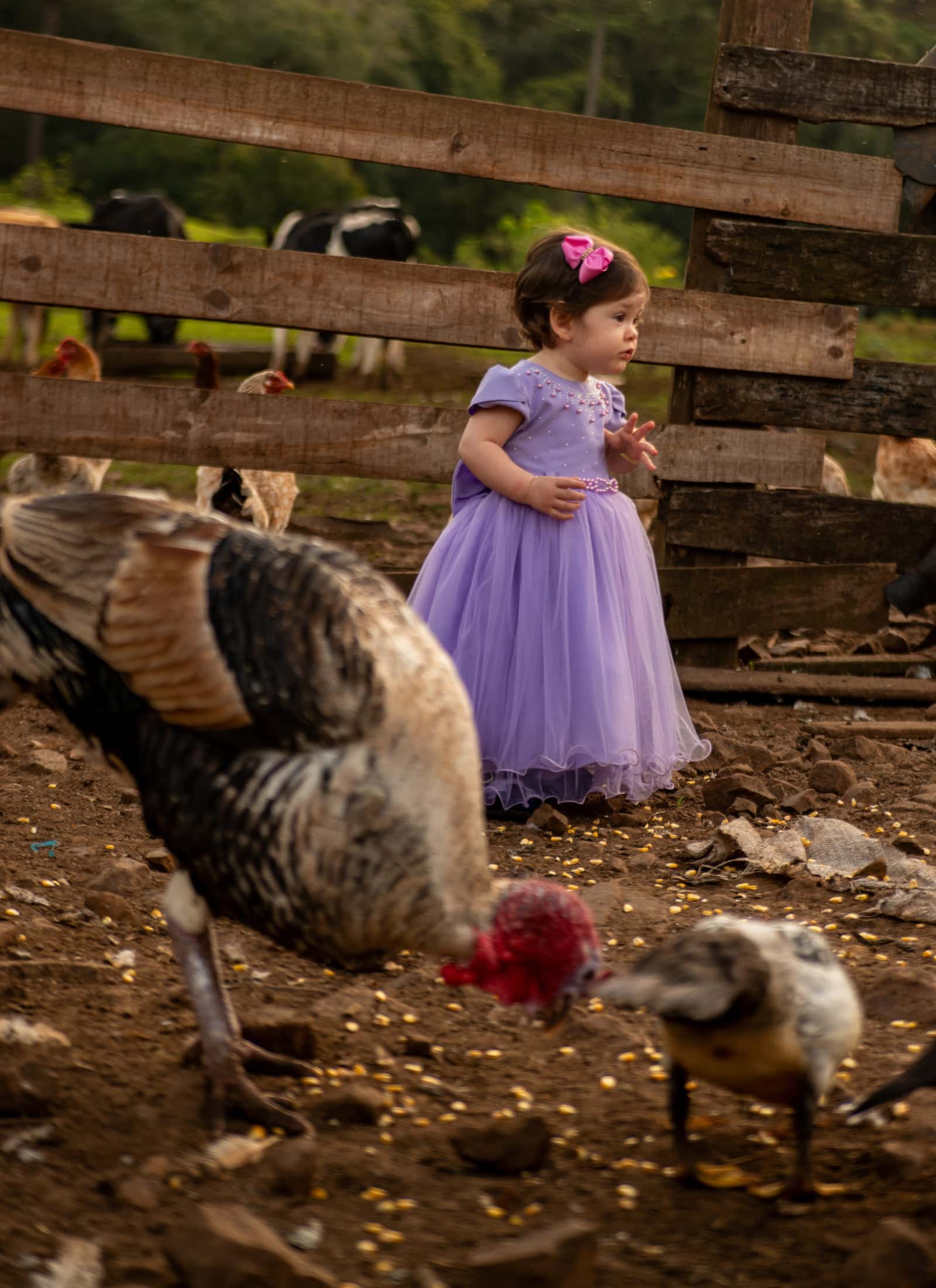 Ensaio infantil de Isis em Santa Cecília do Sul — fotografia 10