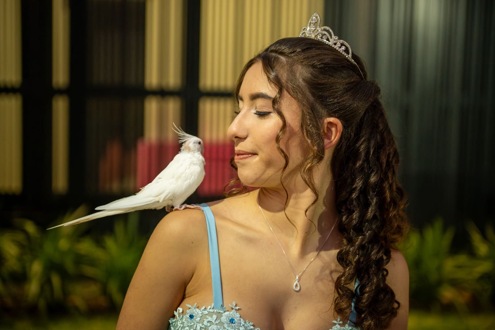 Ensaio de 15 anos de Isadora em Tapejara — fotografia 11